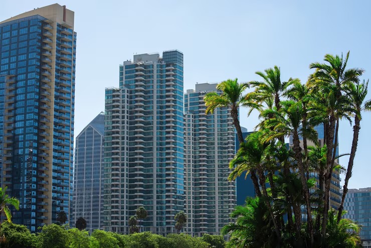 imgi_28_palm-trees-buildings-san-diego_1268-15578
